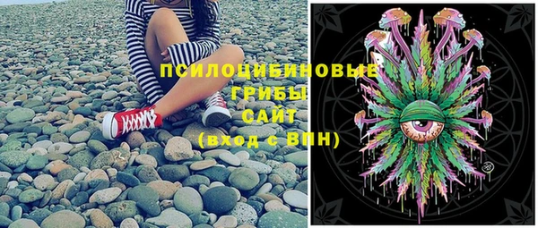 apvp Балабаново